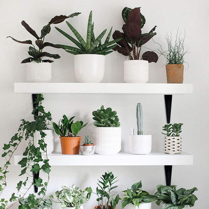 20 Pack 12 Inch Heavy Duty Black Iron Metal Floating Shelves Bracket, L Corner Brace Support, J Metal Joint Angle for Shelf